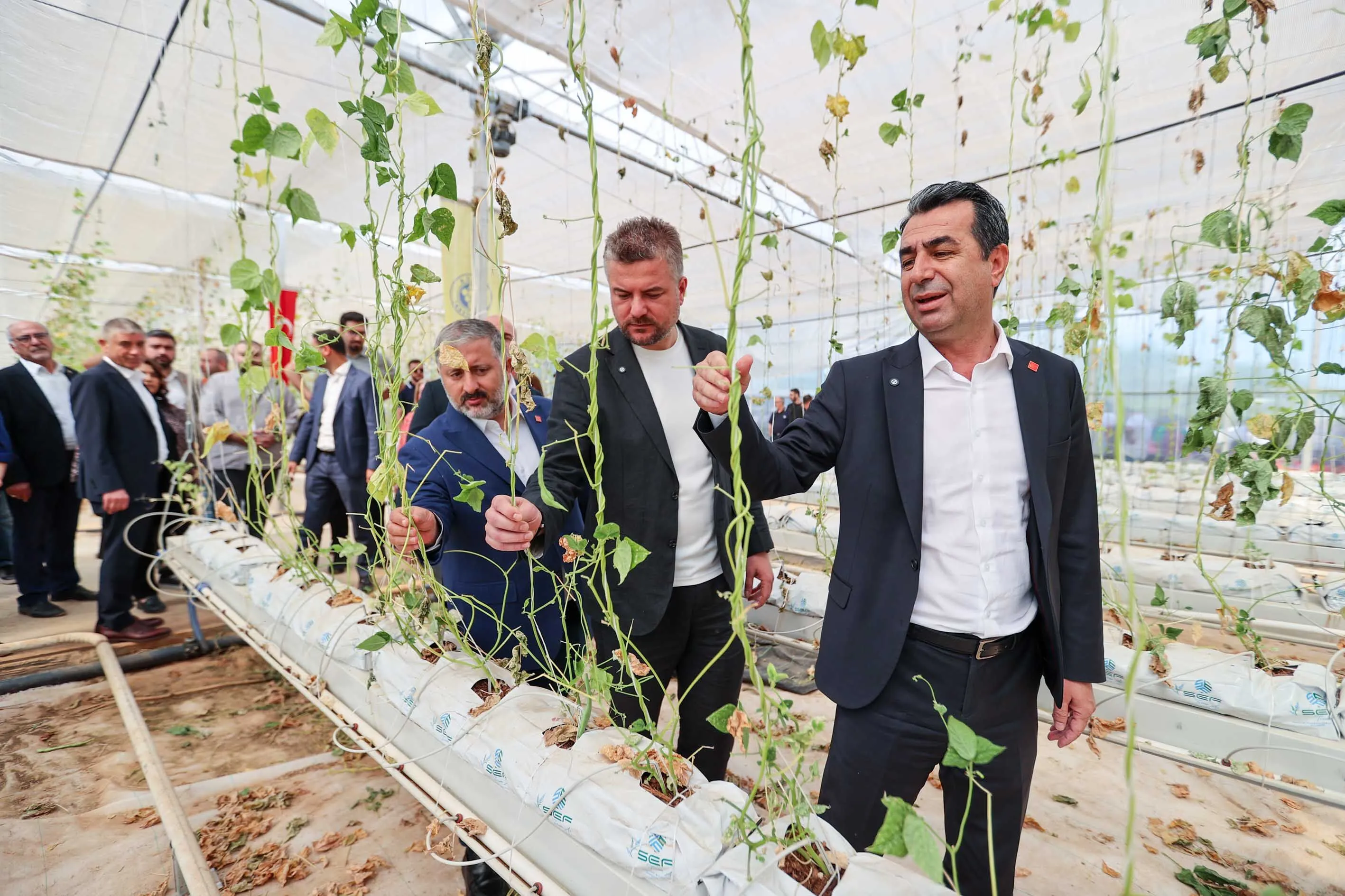 Buca’da bin umut fidesi toprakla buluştu