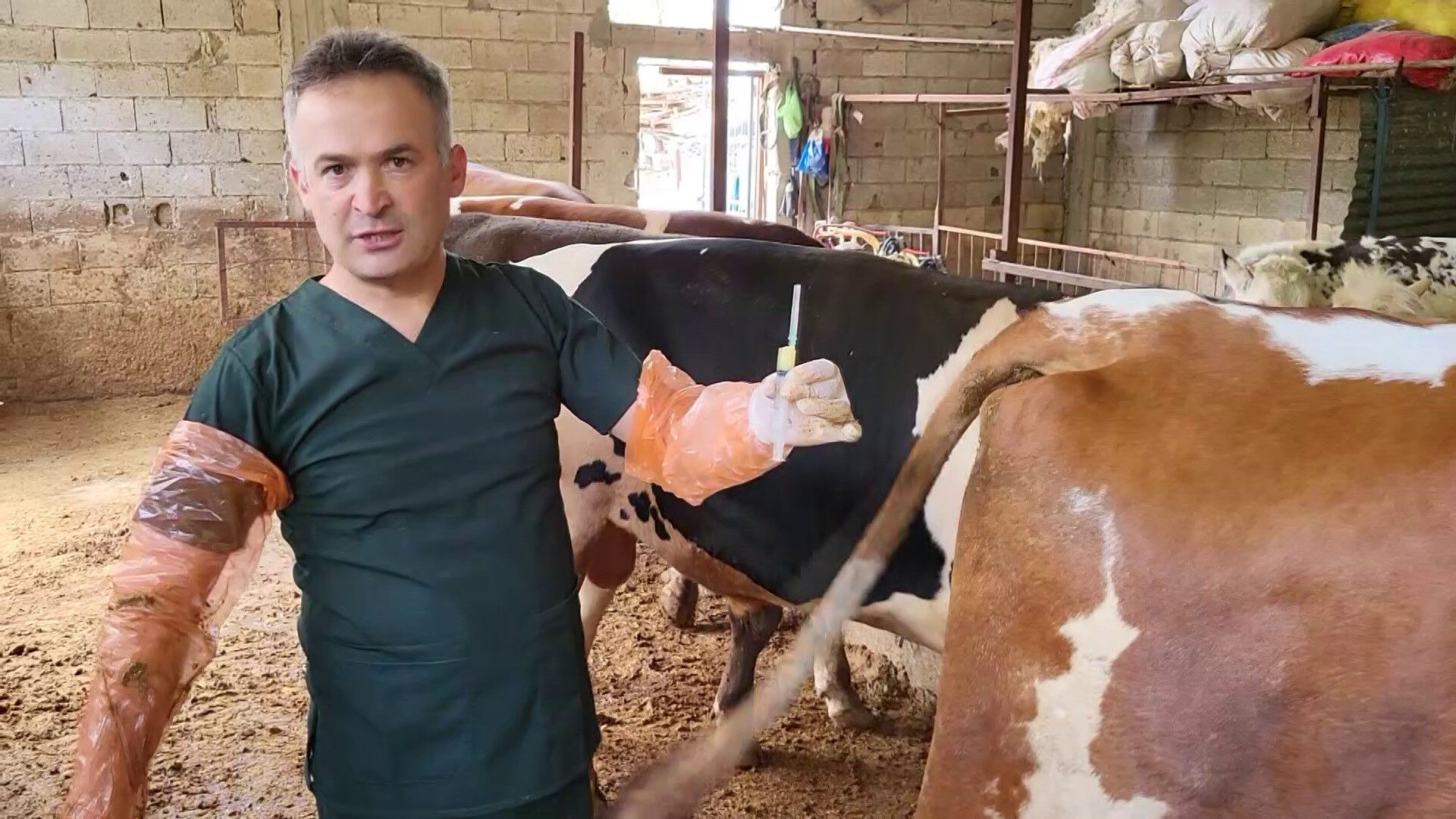 Bilim insanlarından kısırlıkta devrim: Arı sütü mucizesi