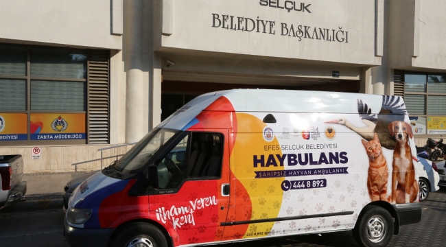 Pandemi sokak hayvanlarını nasıl etkiledi?