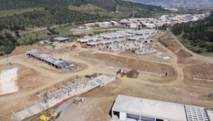Sokak hayvanlarının yeni yuvası sonbahara hazır