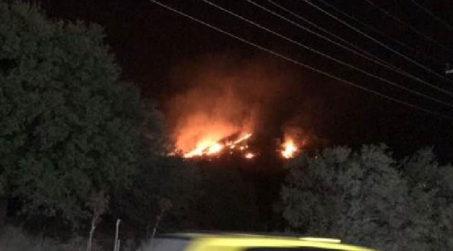 Bodrum'da orman yangını