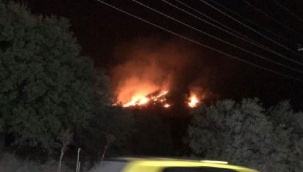 Bodrum'da orman yangını