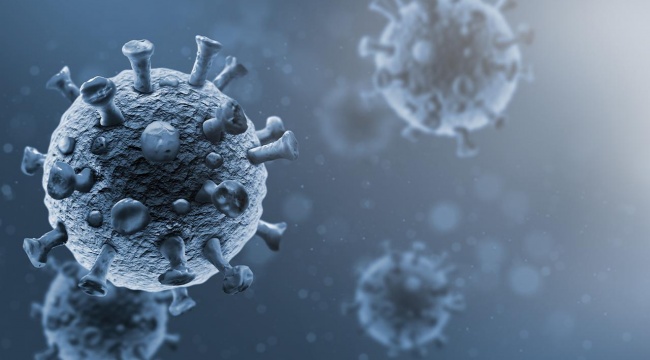 Son 24 saatin virüs tablosu: Vaka sayısı 17 bine yaklaştı!