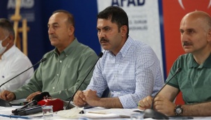 Orman yangınlarıyla mücadelede son durum