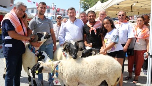 6. Tarım ve Sakız Koyunu Festivali Çeşme'de