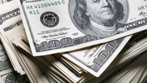 Fransız bankasından Türkiye'ye yönelik endişelendiren dolar tahmini