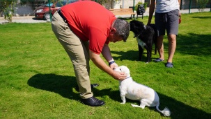 Çeşme'ye 5 'Pati Park' Müjdesi