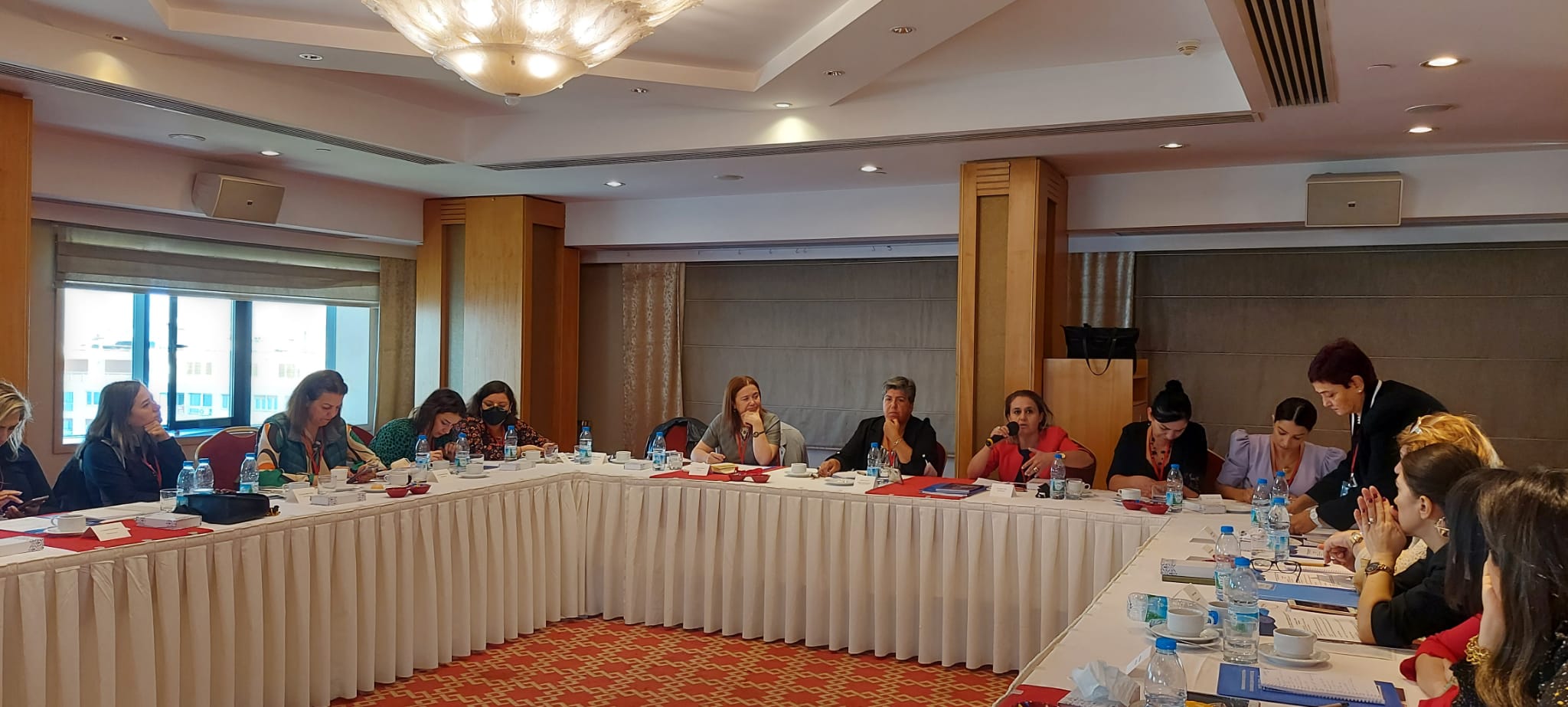 Türkiye Kadın Dernekleri Federasyonu: &quot;İstanbul Sözleşmesinden Vazgeçmiyoruz&quot;