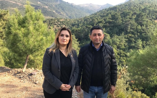 CHP İzmir Milletvekili Kılıç'tan "Ağaç Katliamı" Tepkisi