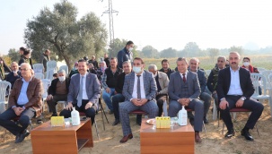 Torbalı'da Tatlı Patates Hasadı