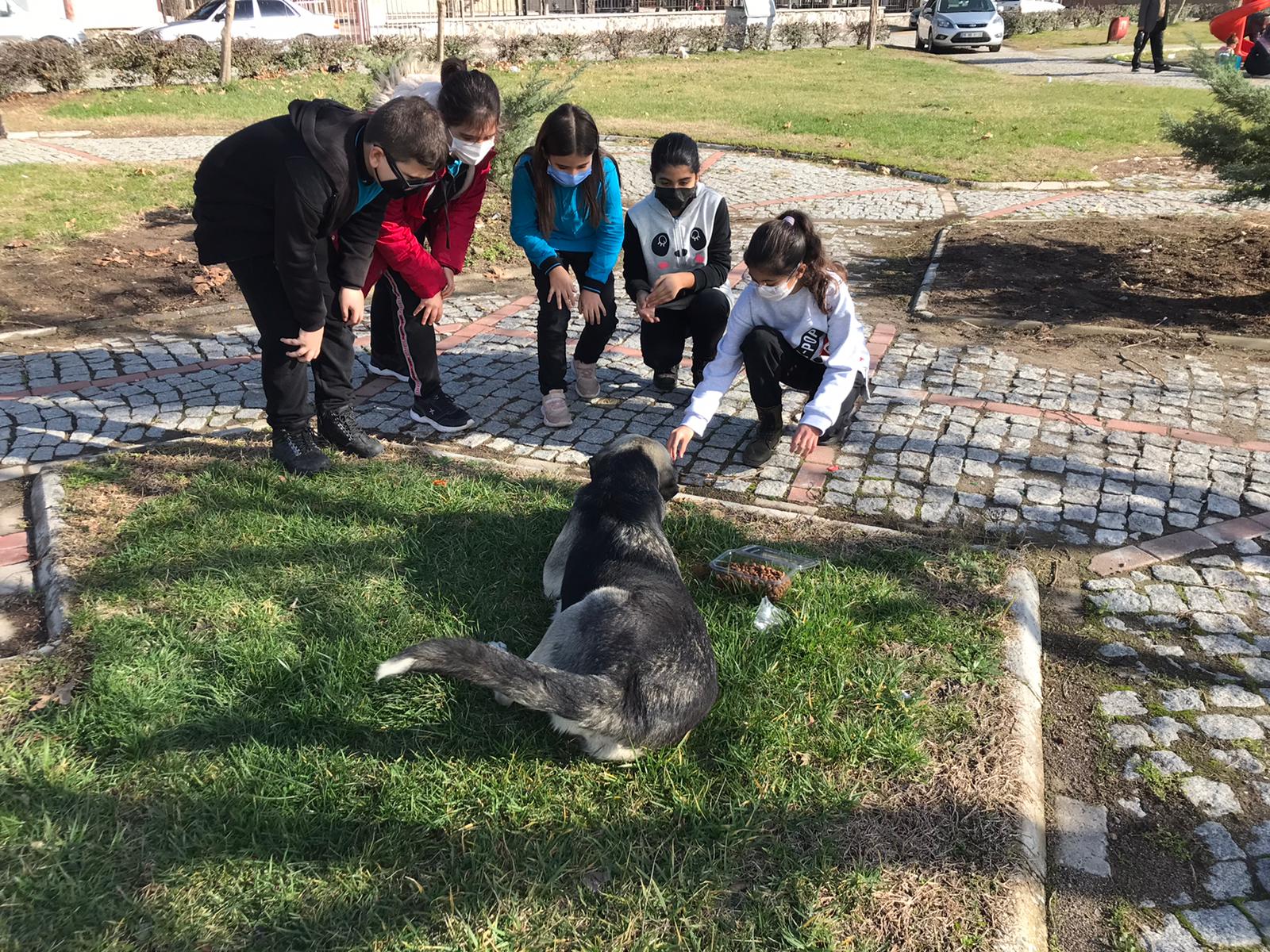 Bergamalı Çocuklar Sokak Hayvanları İçin Proje Üretti