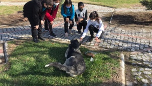 Bergamalı Çocuklar Sokak Hayvanları İçin Proje Üretti