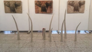 Bu Sergi Kaçmaz