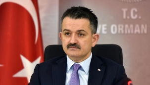 Efes Antik Kenti Deniz İle Buluşuyor
