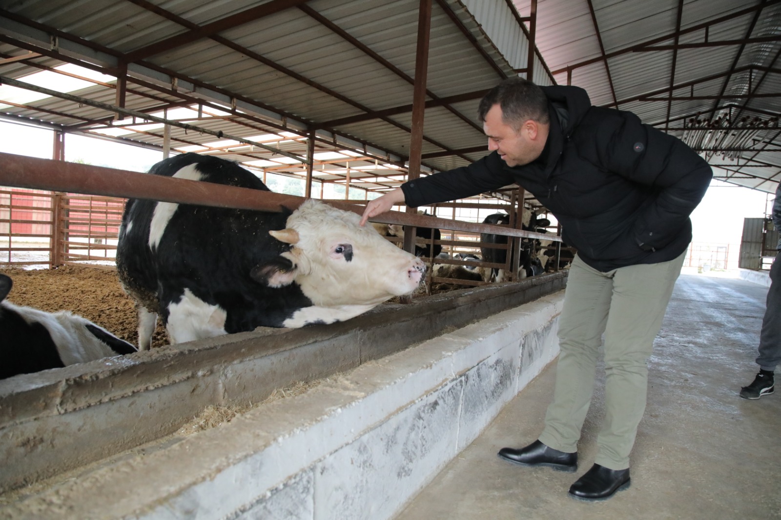 Aydın'dan Seferihisarlı Çiğ Süt Üreticisine Müjde