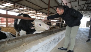 Aydın'dan Seferihisarlı Çiğ Süt Üreticisine Müjde