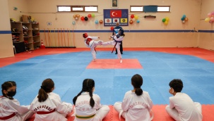 Bucalı Madalya Avcıları