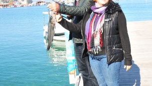 Efsane Levrek Avı İçin Deniz Tutkunları Olta Başına!