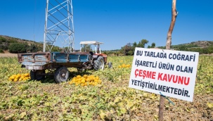 Üretici Kooperatiflerinden 164 Milyon Lirayı Aşan Alım