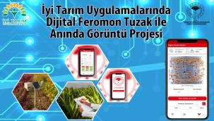 İzmir'de