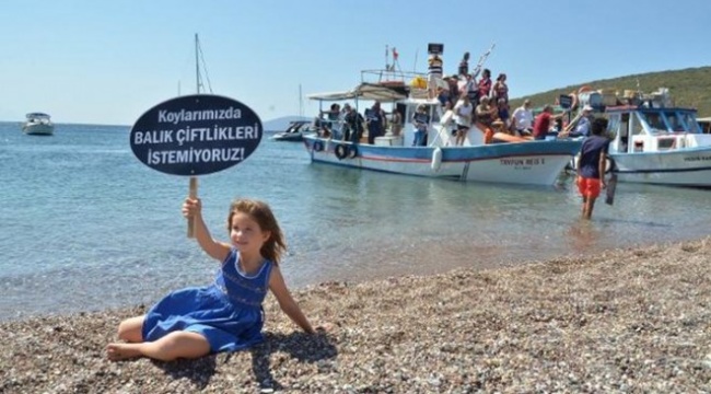 O Proje Halkın Kantarında