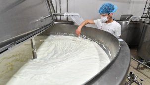 İzmir’de Süt Üreticisi Nefes Almaya Başladı