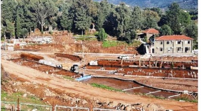 İzmir’in Turistik Beldesinde 12 Bin 61 Metrekarelik Orman Alanındaki Otel İnşaatı İçin “ÇED Gerekli Değil” Kararı