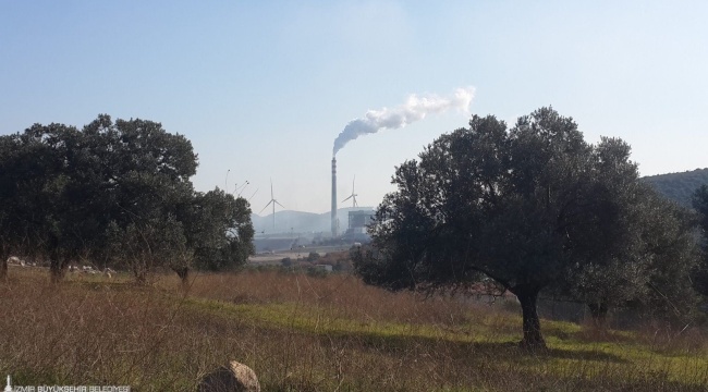 Zeytinliklerimizi Ranta Kurban Ettirmeyeceğiz