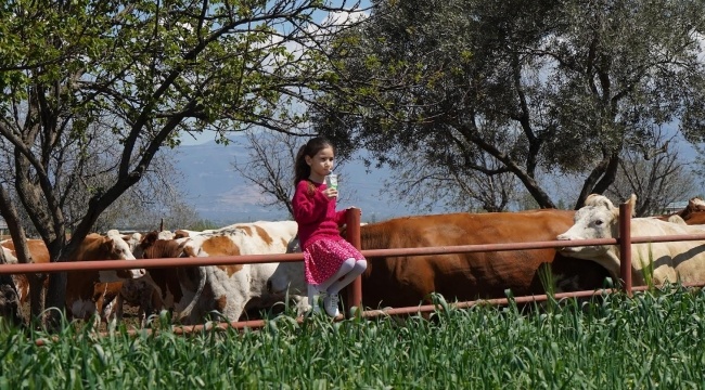 Pınar Süt, 2021&#039;de Yüzde 32,2 Büyüyerek 2,7 Milyar TL Ciroya Ulaştı