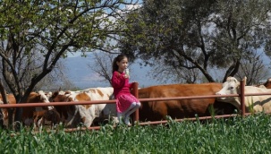 Pınar Süt, 2021'de Yüzde 32,2 Büyüyerek 2,7 Milyar TL Ciroya Ulaştı
