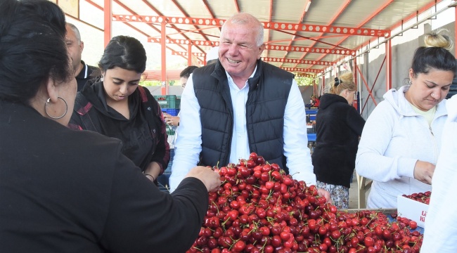 Kemalpaşa&#039;da Kiraz Alım Merkezleri Denetleniyor
