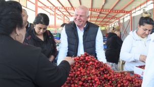 Kemalpaşa'da Kiraz Alım Merkezleri Denetleniyor