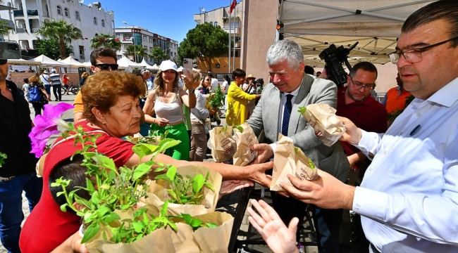 Üreticilere Yerel Fide Dağıtıldı