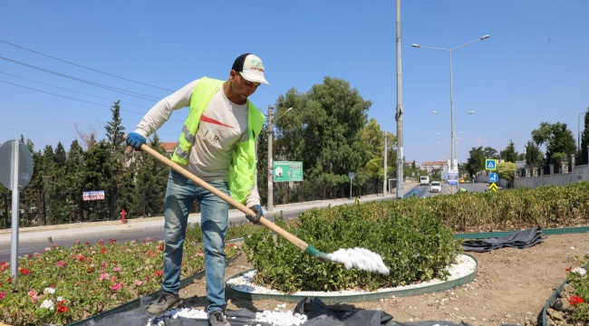 Buca Sokaklarında Yaz Çiçekleri Zamanı