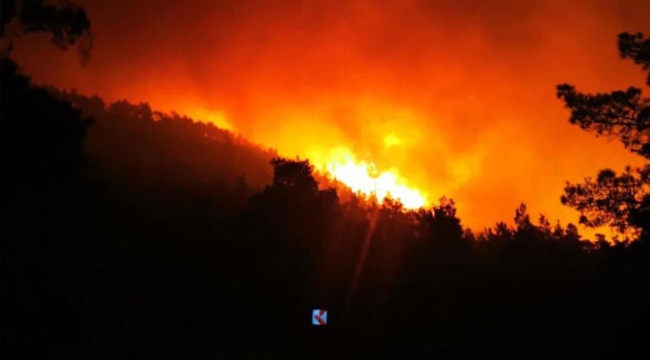 Marmaris&#039;te Geçen Yılki Kabus Yeniden Başladı! Yangın Büyüyor...