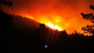 Marmaris'te Geçen Yılki Kabus Yeniden Başladı! Yangın Büyüyor...