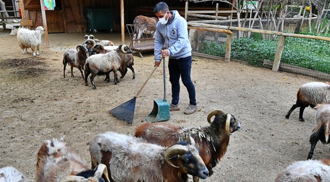 ​Organik Atıklar Bu Tesiste Gübreye Dönüşüyor