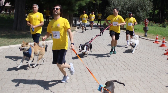 Patili Dostlarla Koşu