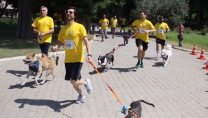 Patili Dostlarla Koşu