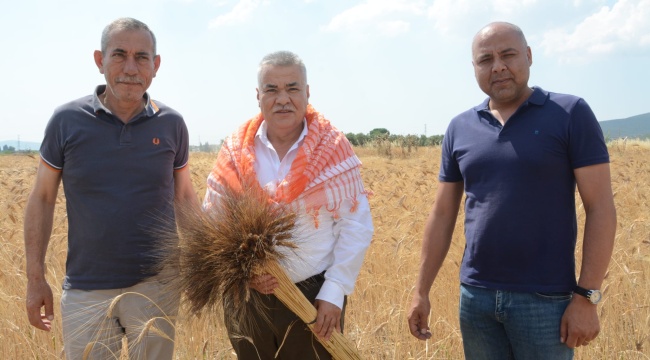Torbalı Belediyesi Buğday Hasadına Başladı