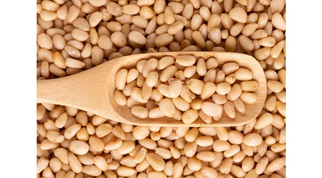 Türkiye&#039;nin Çam Fıstığı İhracatı Son 5 Senede Yüzde 68 Arttı