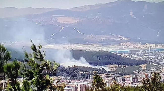 İzmir'de Makilik Yangını! Havadan ve Karadan Müdahale Edildi