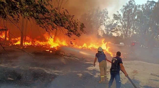 İzmir’in Ormanlarını Korumak İçin Zabıta İş Başında