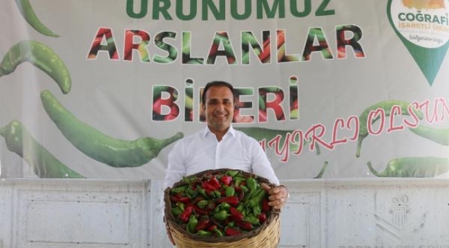'Torbalı biberi, Urfa isot biberine meydan okuyor'