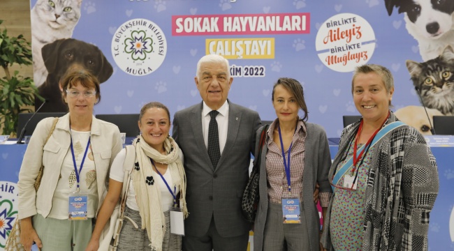 Sokak Hayvanları Çalıştayı’nın Sonuç Bildirgesi Yayınlandı