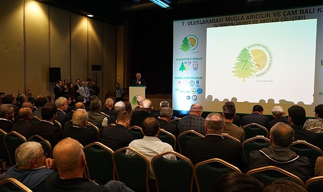 Muğla Çam Balı Uluslararası Platforma Taşındı