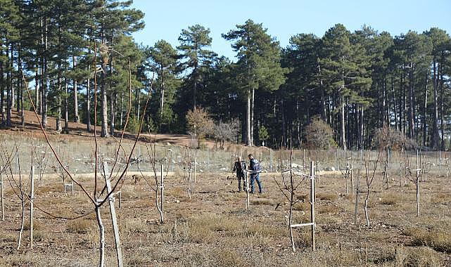Muğla Büyükşehir Belediyesi Üreticinin Her Adımında Yanında