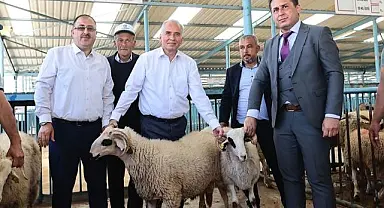 Denizli Büyükşehir Belediyesi’nden küçükbaş hayvan üreticilerine bir destek daha