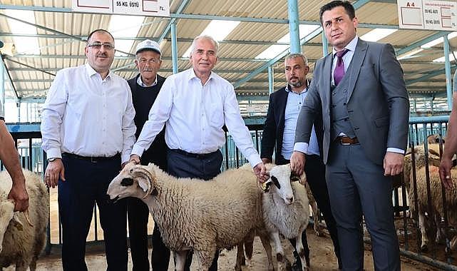 Denizli Büyükşehir Belediyesi’nden küçükbaş hayvan üreticilerine bir destek daha