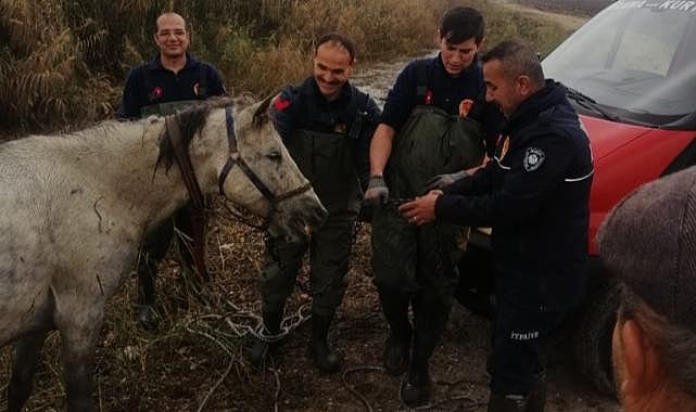 Dereye Düşen At, İtfaiye Tarafından Kurtarıldı